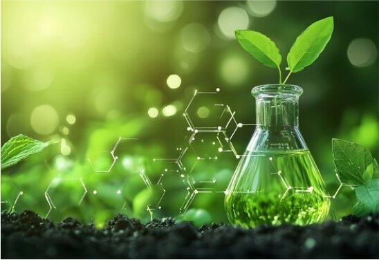 About Us Our Company 01 About Us Our Company 01